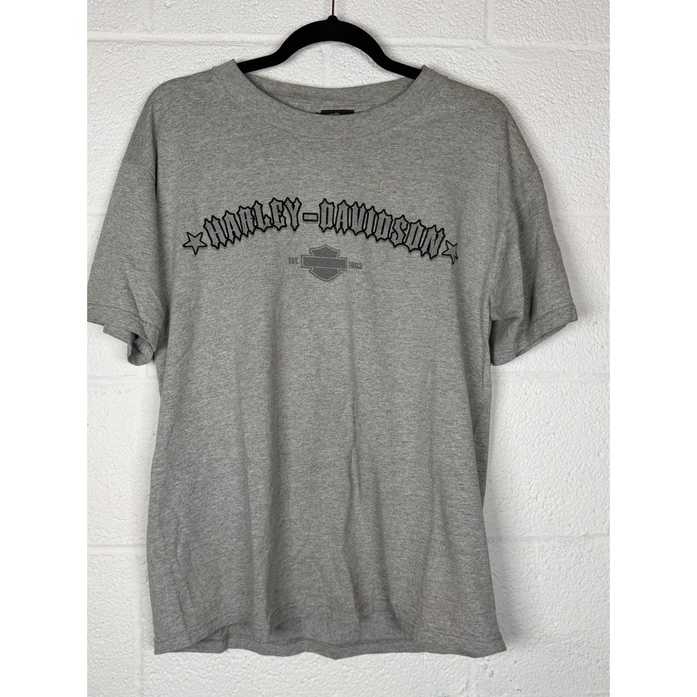 Y2K Harley Davidson Gothic Spellout Gray Biker T Shirt Large